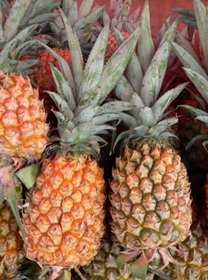 voyage-vietnam-decouverte-degustation-de-fruit-exotique-ananas
