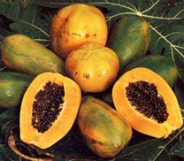 voyage-vietnam-decouverte-degustation-de-fruit-exotique-papaye